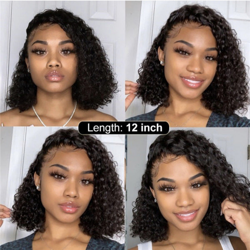 Afro Glam Synthetic Lace Front Medium and Long Curly Braided Wig