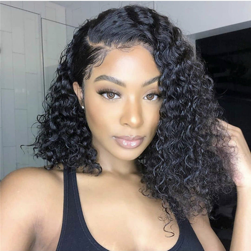 Afro Glam Synthetic Lace Front Medium and Long Curly Braided Wig