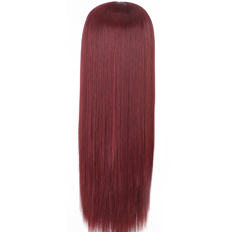 Lustrous Lace Front Long Straight Wig