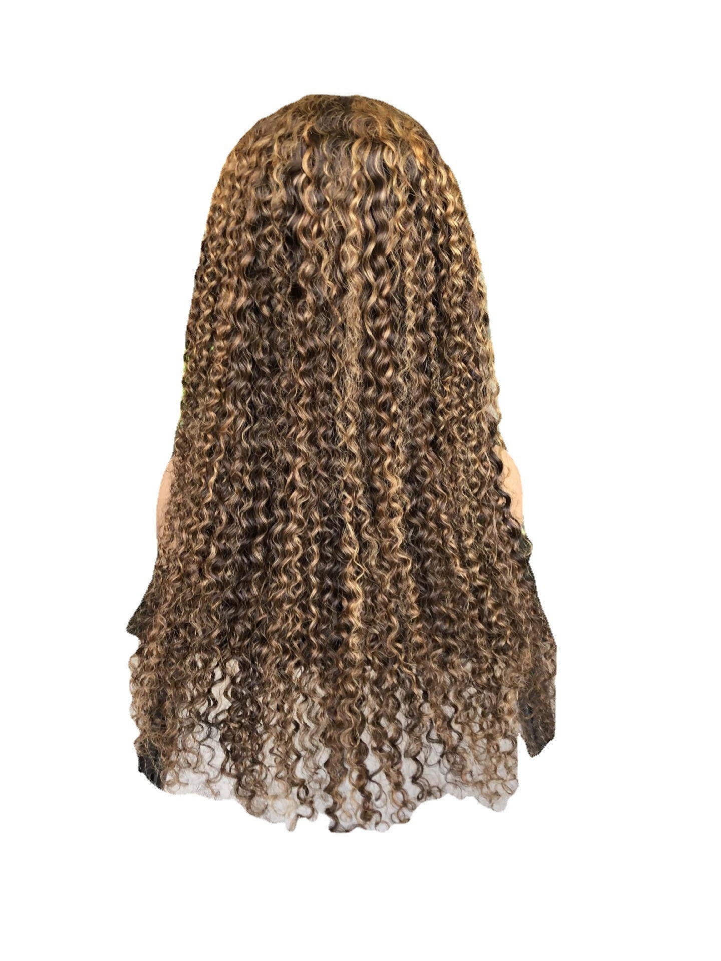 Harmonize Inter-Color Curly Lace Wig